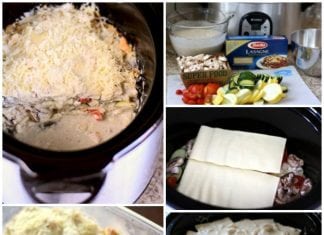 Chicken Alfredo Crock Pot Lasagna