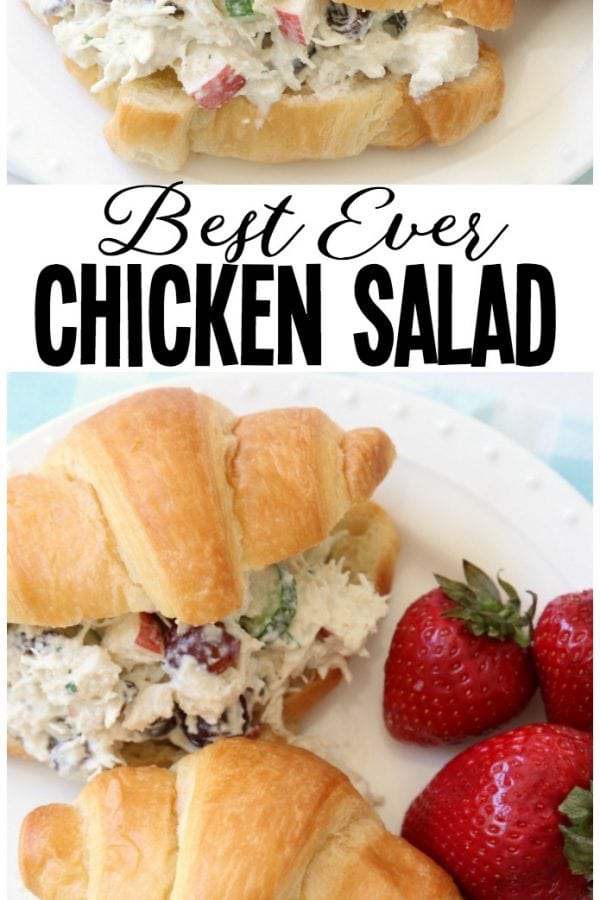 Easy 5-Minute Chicken Salad recipe that's the BEST I've ever tasted! The simple dressing really makes it perfect. Chicken Salad recipe made with diced chicken, plain yogurt, apples, grapes, celery, cucumber, raisins and more! Great as chicken salad sandwiches or in lettuce as a wrap or on crackers. #chicken #salad #lunch #brunch #chickensalad #protein #healthy #recipe from Butter With A Side of Bread