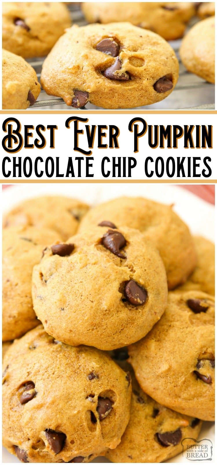Pumpkin Chocolate Chip Cookies are soft & pillowy cookies with great pumpkin flavor! Made with pumpkin, chocolate chips and a lovely blend of Fall spices, these pumpkin cookies are a Fall favorite! #pumpkin #chocolatechip #cookies #baking #Fall #dessert #recipe from BUTTER WITH A SIDE OF BREAD