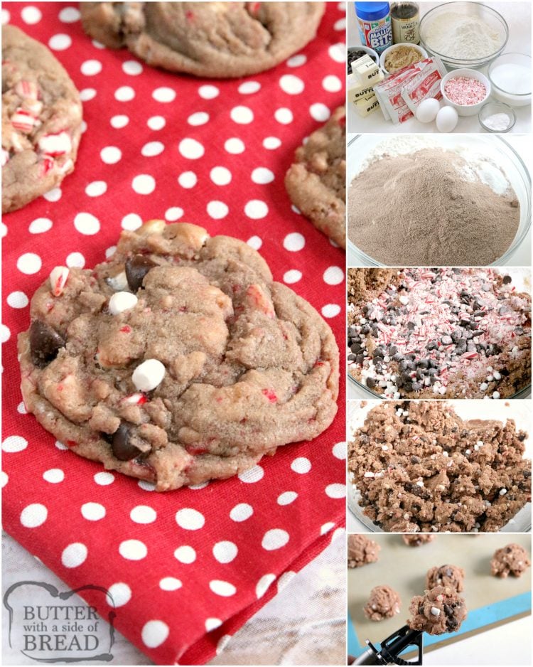 Hot Cocoa Cookies are full of hot cocoa mix, chocolate chips, crushed candy canes and marshmallow bits all baked into one delicious cookie! These hot chocolate cookies are simple to make and taste just like your favorite cup of hot cocoa!