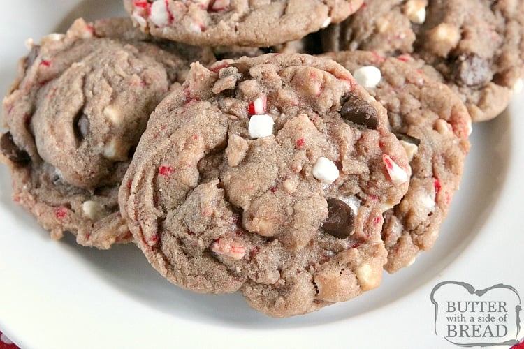 Hot Cocoa Cookies are full of hot cocoa mix, chocolate chips, crushed candy canes and marshmallow bits all baked into one delicious cookie! These hot chocolate cookies are simple to make and taste just like your favorite cup of hot cocoa!