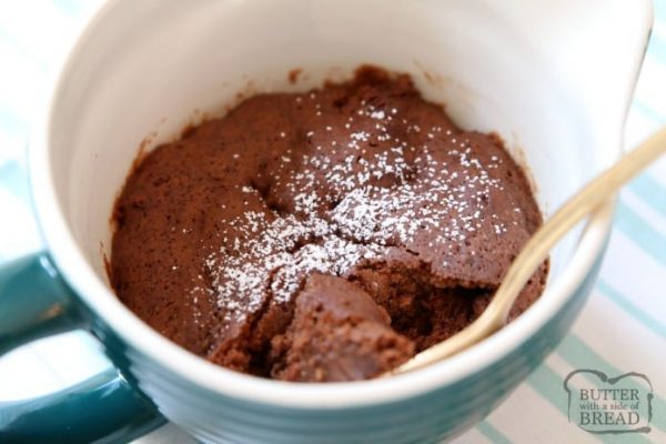 100 CALORIE CHOCOLATE MUG CAKE RECIPE - Butter with a Side of Bread