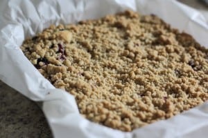 Blueberry Crumb Bars : Butter with a Side of Bread