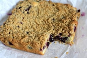 Blueberry Crumb Bars : Butter with a Side of Bread
