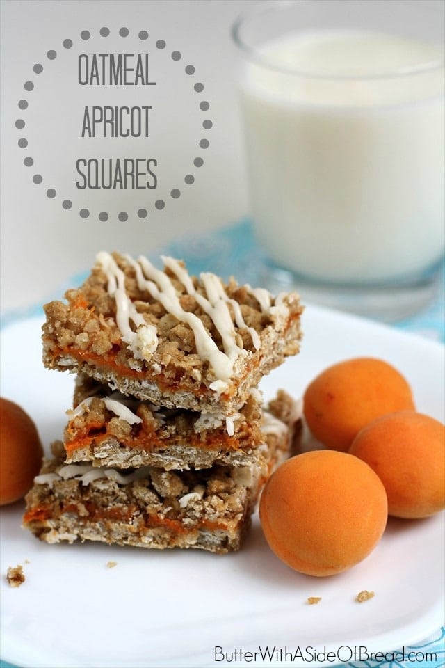 If you don't have apricot puree, it would be fabulous with a fresh blueberry puree, strawberry or even peach puree. Homemade jam would be great too, although it would increase the sugar content of the bars.
