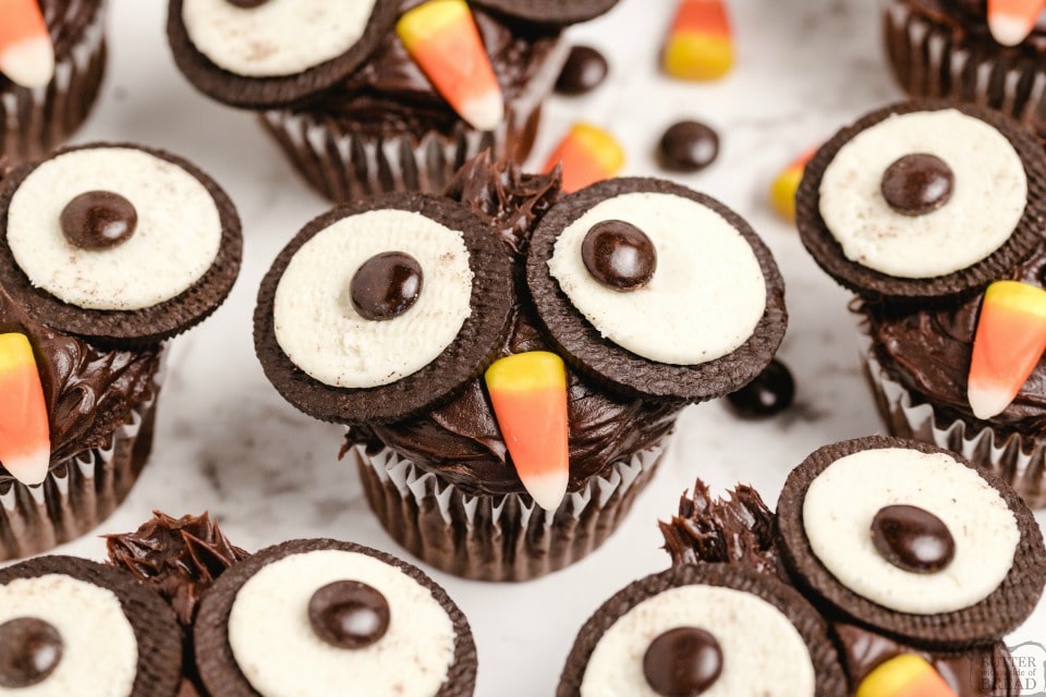 Oreo Owl Cupcakes made with chocolate ganache, Oreos and candy! Easy chocolate cupcakes made to look like little owls. Simple Halloween cupcakes that everyone loves! 