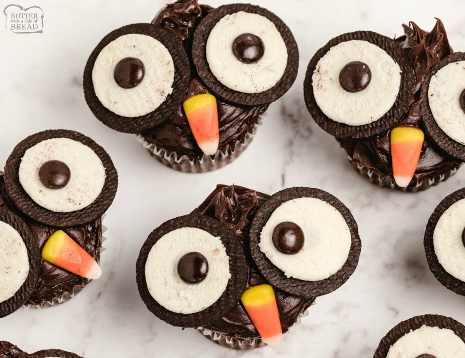 Oreo Owl Cupcakes made with chocolate ganache, Oreos and candy! Easy chocolate cupcakes made to look like little owls. Simple Halloween cupcakes that everyone loves! 