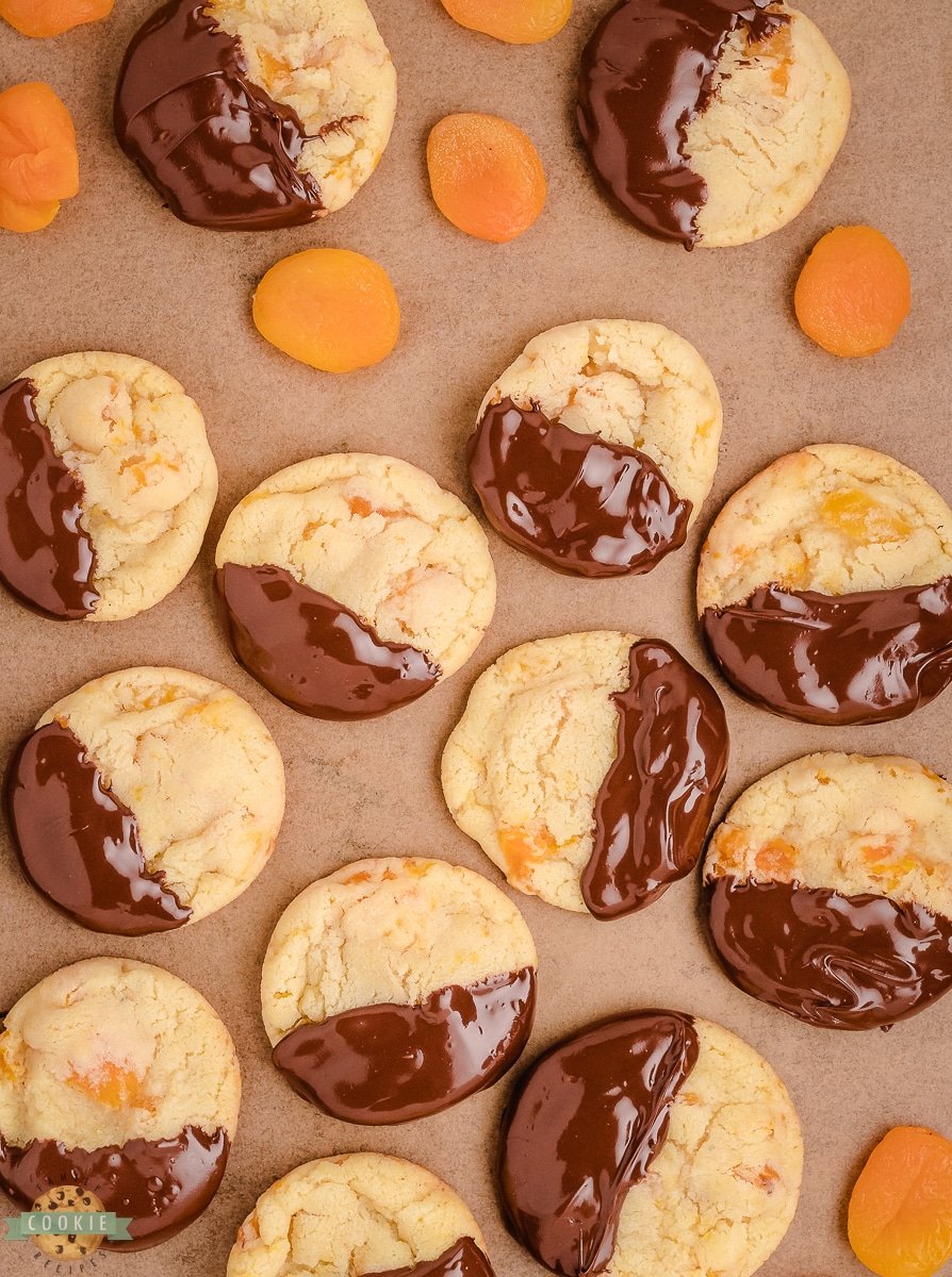 apricot cookies that have been dipped in chocolate