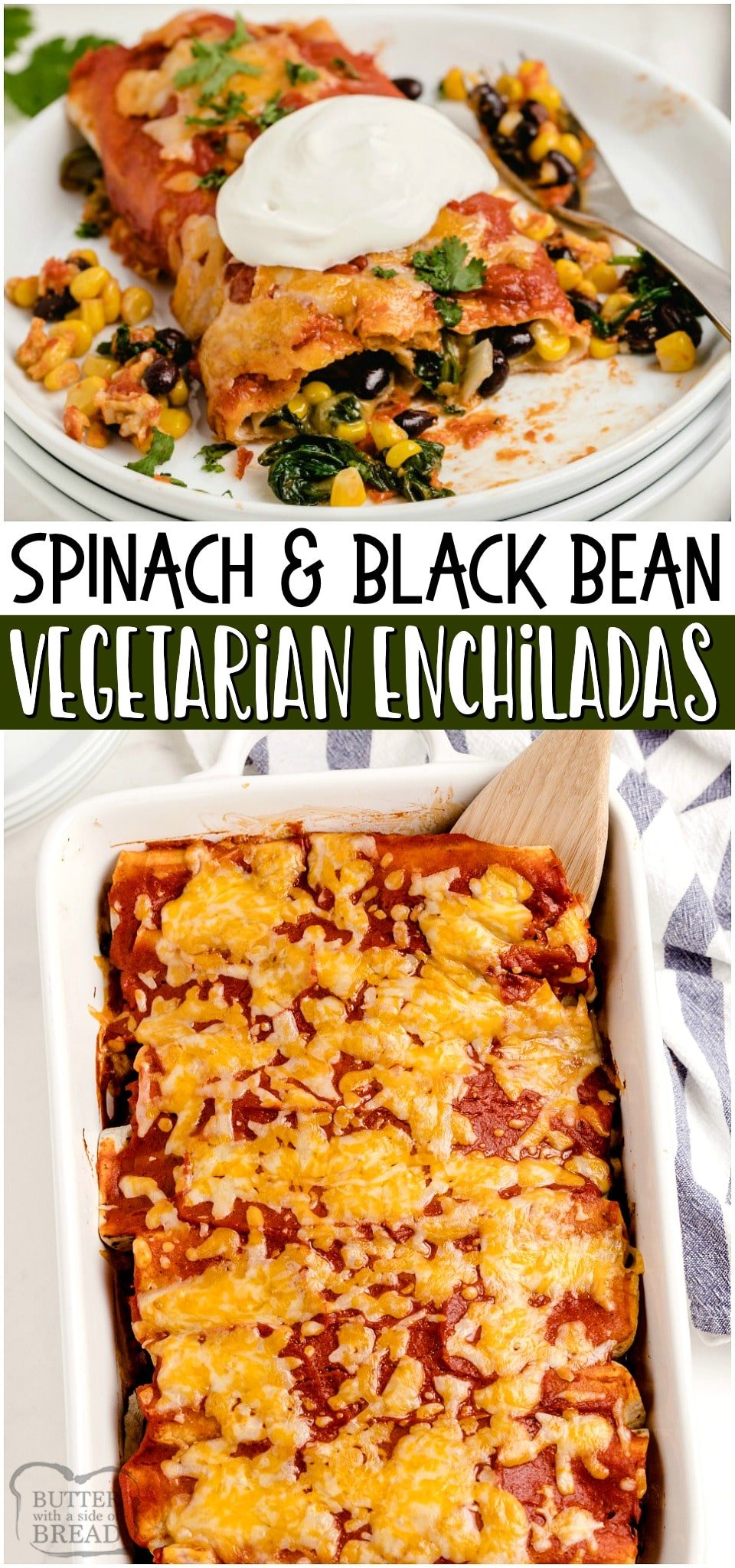 Vegetarian enchiladas with spinach are as healthy as they are delicious. These black bean enchiladas are packed with flavor and smothered in a homemade enchiladas sauce.