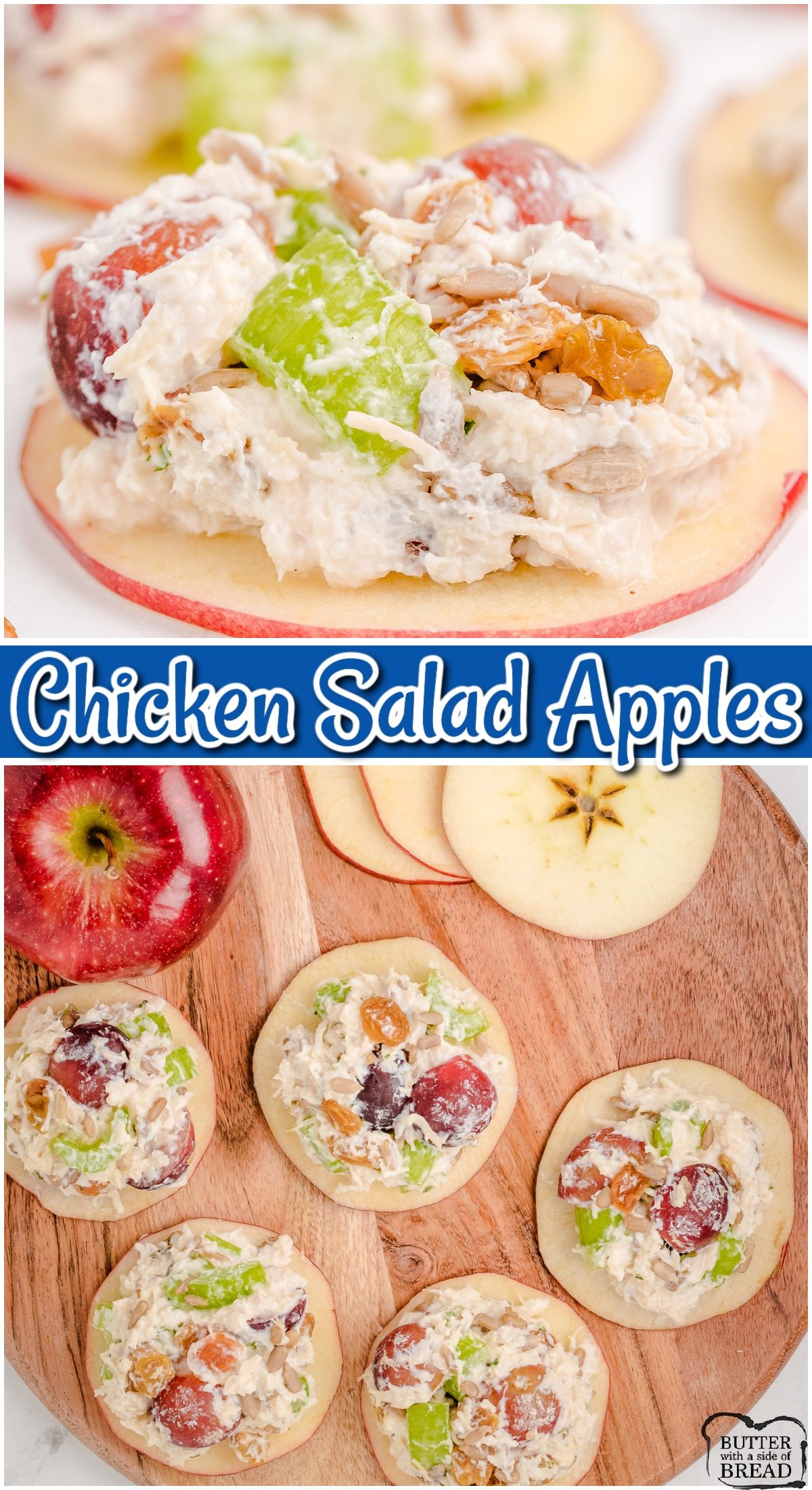 Enjoy this delightful, creamy, grape and celery packed, chicken salad on top of your favorite apples. Sweet, savory, maybe a little tangy, all come together in this tasty snack! 