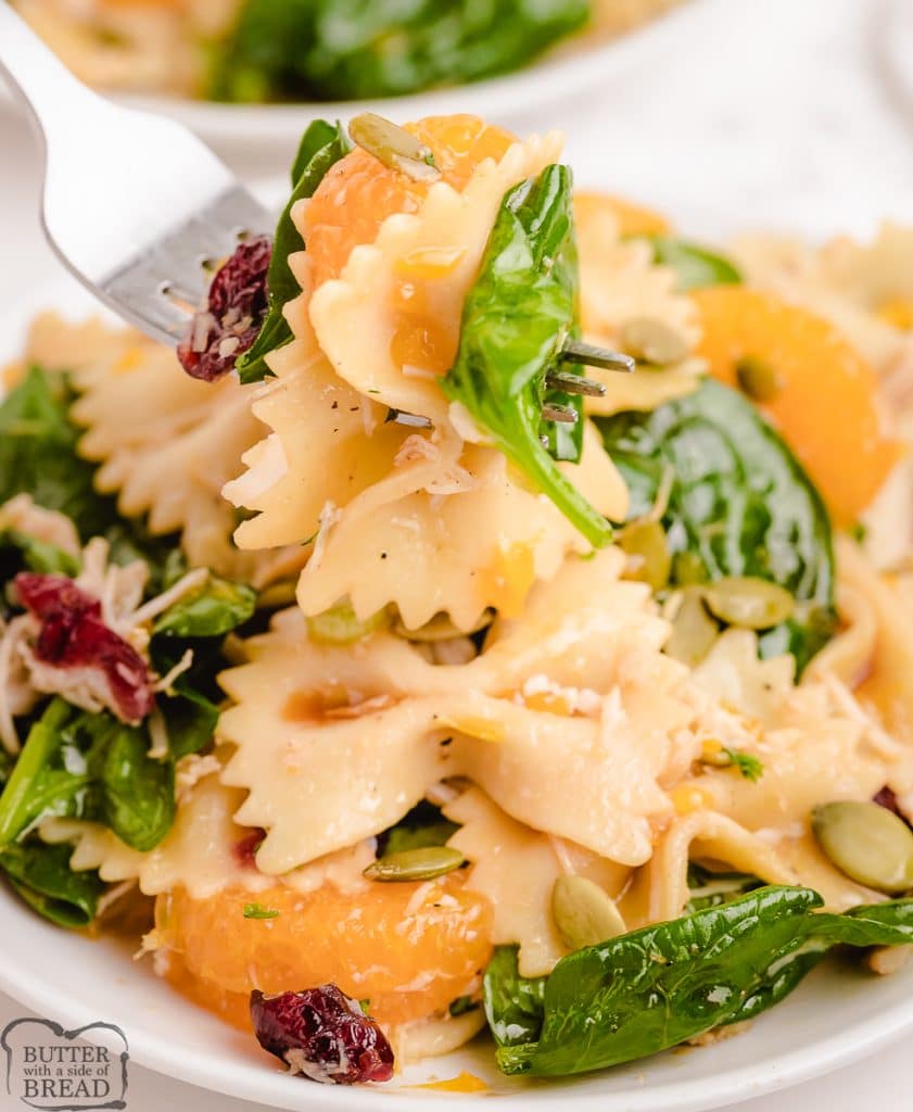 forkful of pasta salad