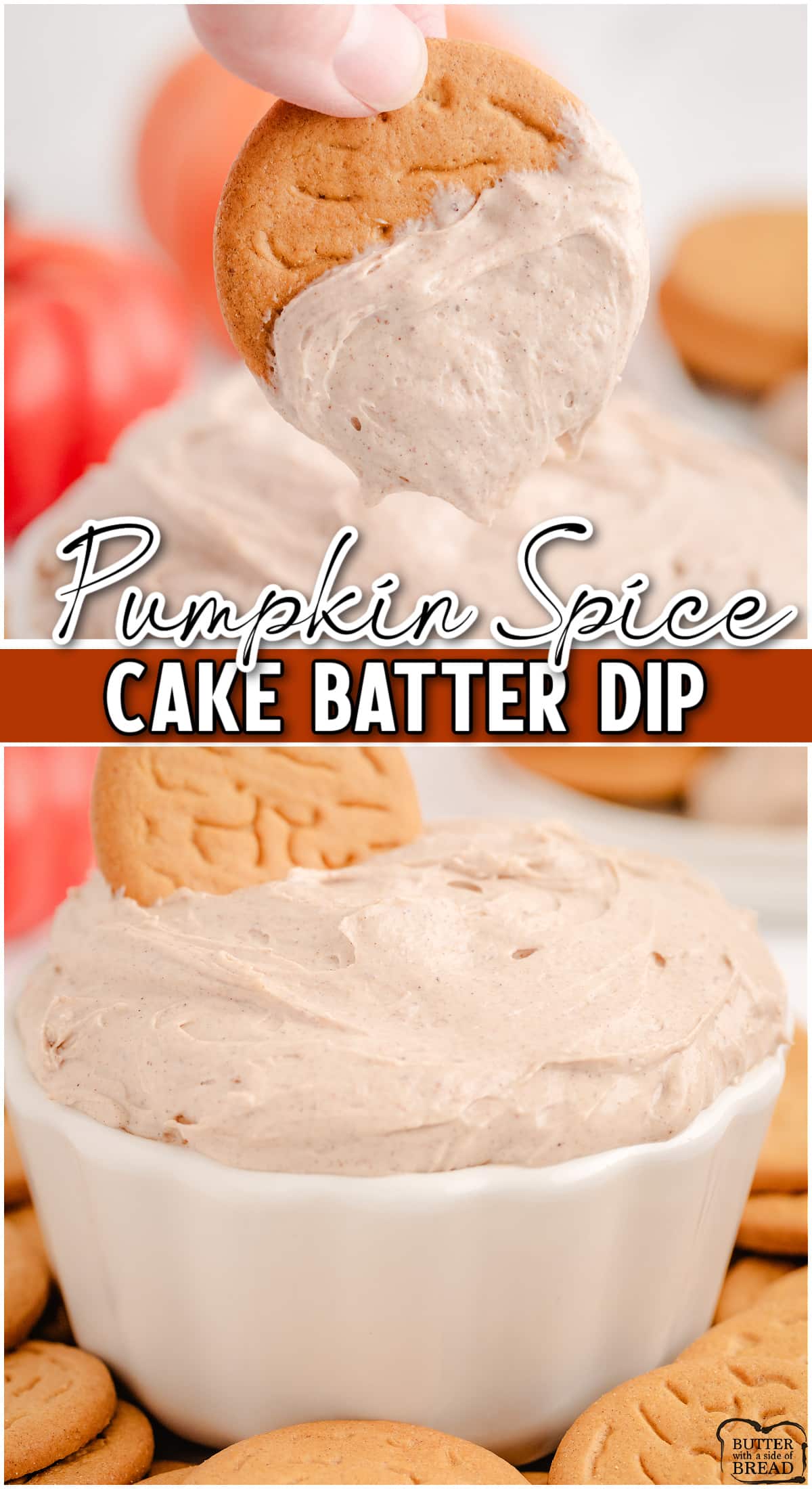 Pumpkin Spice Cake Batter Dip is a smooth & creamy dip with delightful Fall spices, perfect for dipping apples, gingersnaps, or anything else you'd like! 