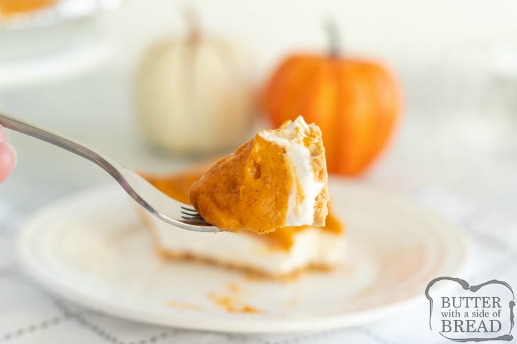 Bite of easy pumpkin pie recipe