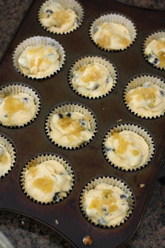 Lemon Blueberry Muffins.IMG_0027