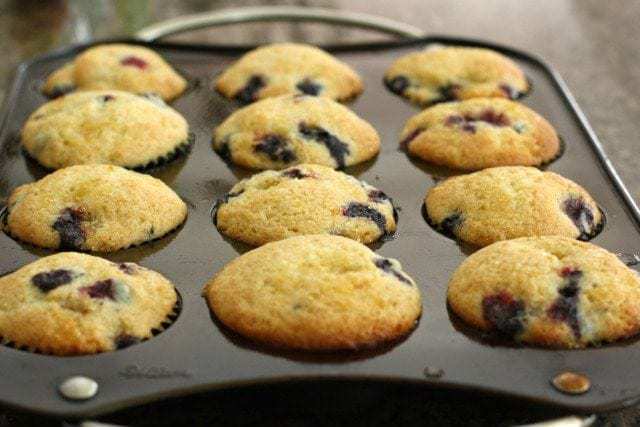 Lemon Blueberry Muffins.IMG_0032