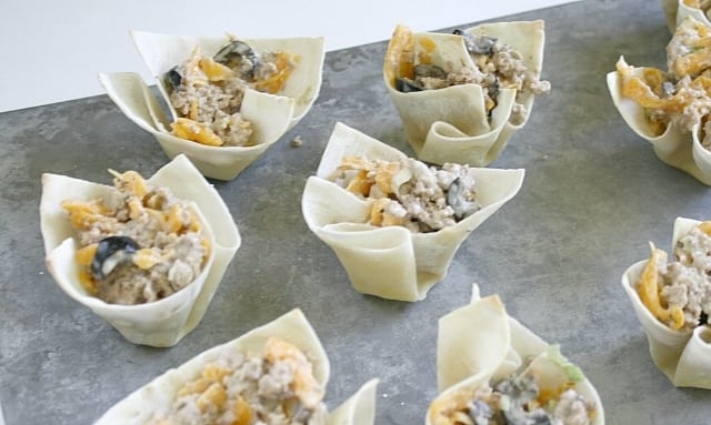 Butter With a Side of Bread: Cheesy Ranch Ground Turkey Wontons