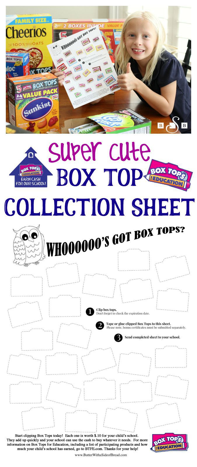 Super Cute Owl Box Top Collection Sheet - Butter With A Side of Bread