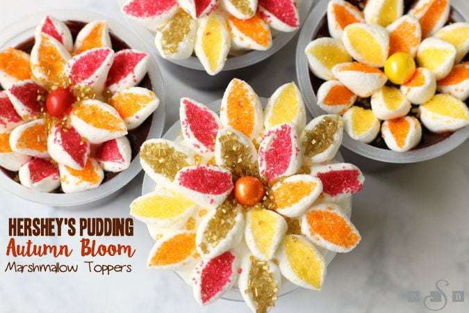 Hershey's Pudding Autumn Bloom Marshmallow Toppers - Butter With A Side of Bread