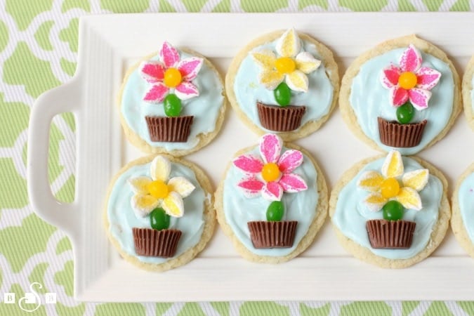 Flower Pot Cookies are easy to make and perfect for Spring baking! Everyone loves these cute treats with candy flowers in a chocolate pot on top! 