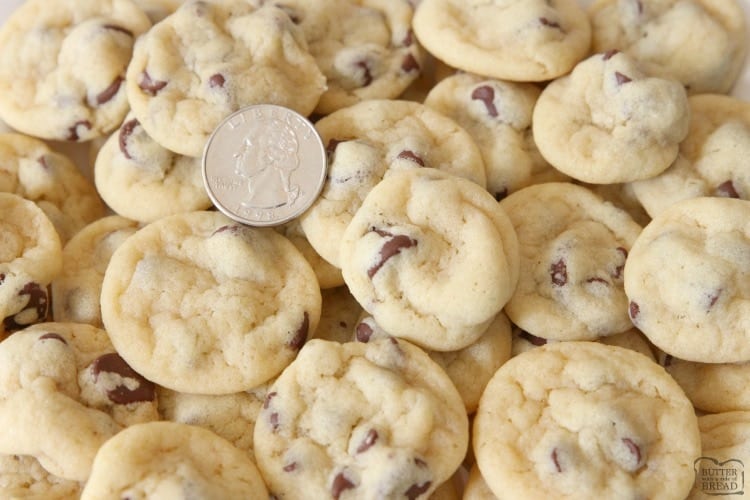 Mini Chocolate Chip Cookies are teeny tiny chocolate chip cookies about the size of a quarter! Soft, chewy poppable cookies that are perfect for parties.