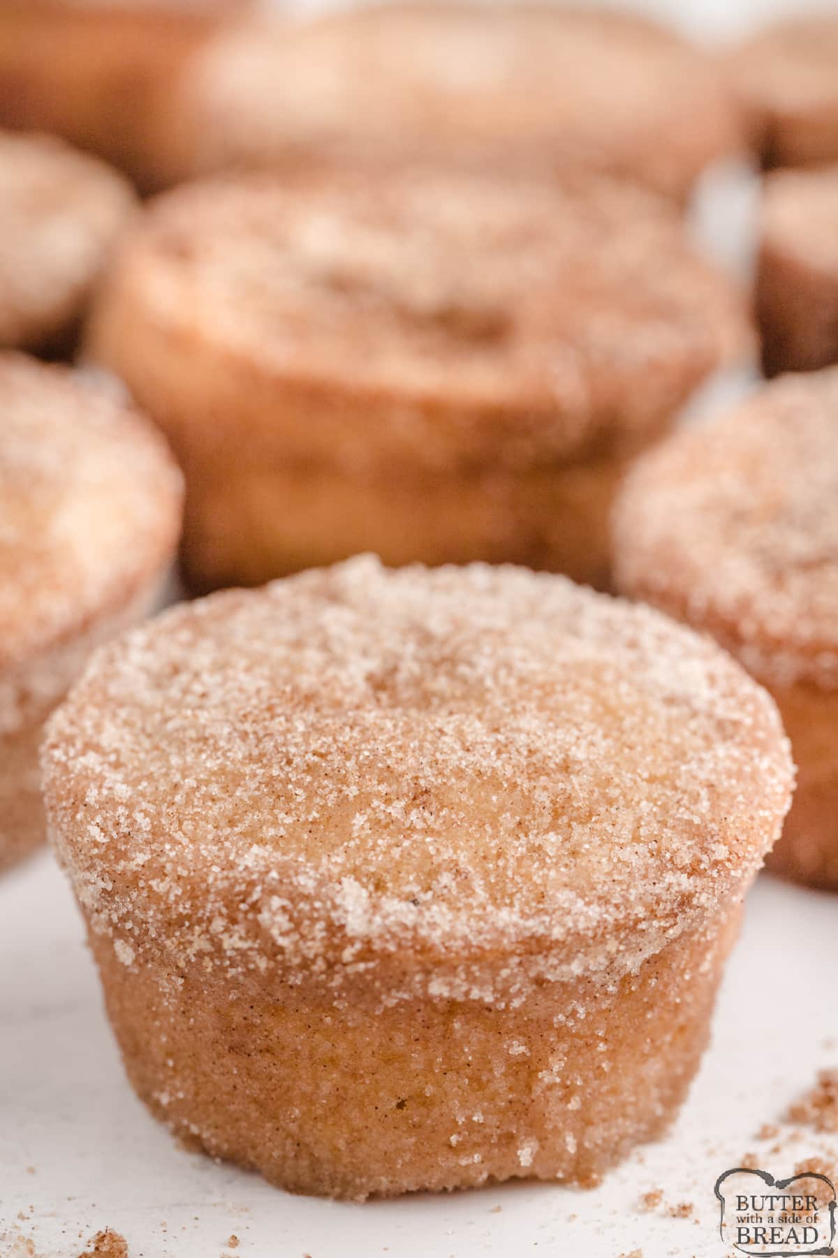 Cinnamon Sugar muffin recipe