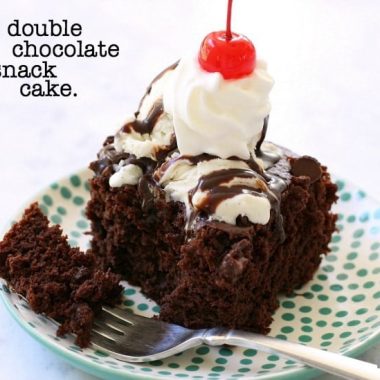 Double Chocolate Snack Cake - Butter With A Side of Bread