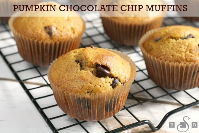 Pumpkin Chocolate Chip Muffins - Butter With A Side of Bread