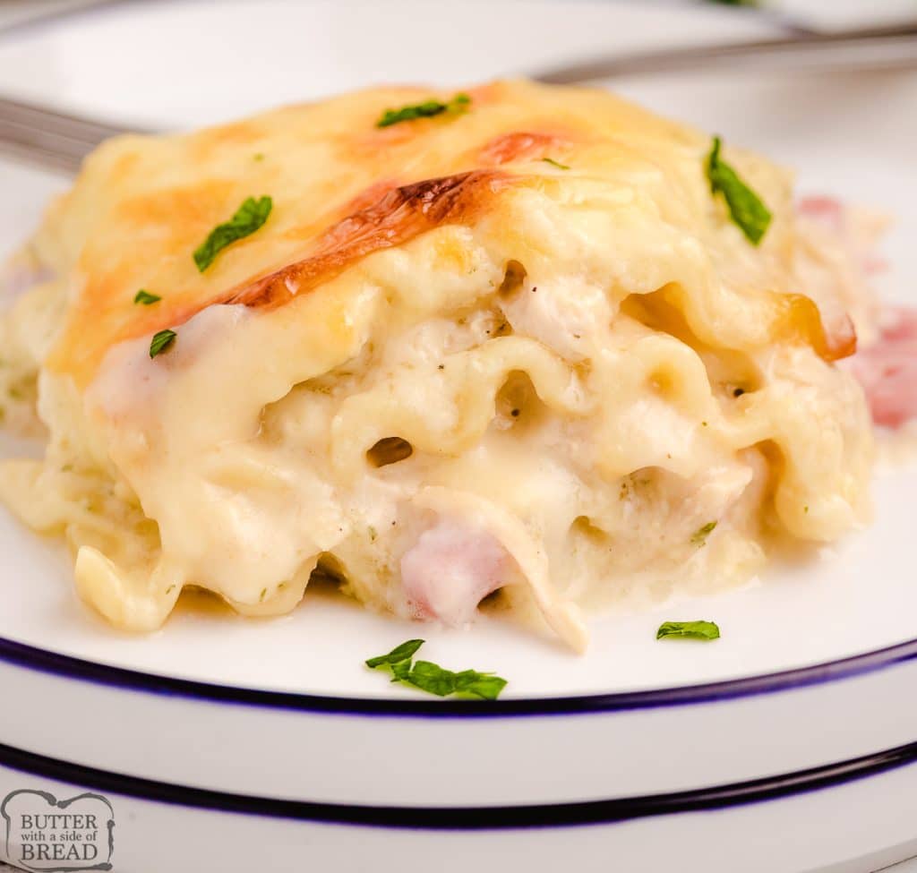 chicken lasagna with white sauce on a plate