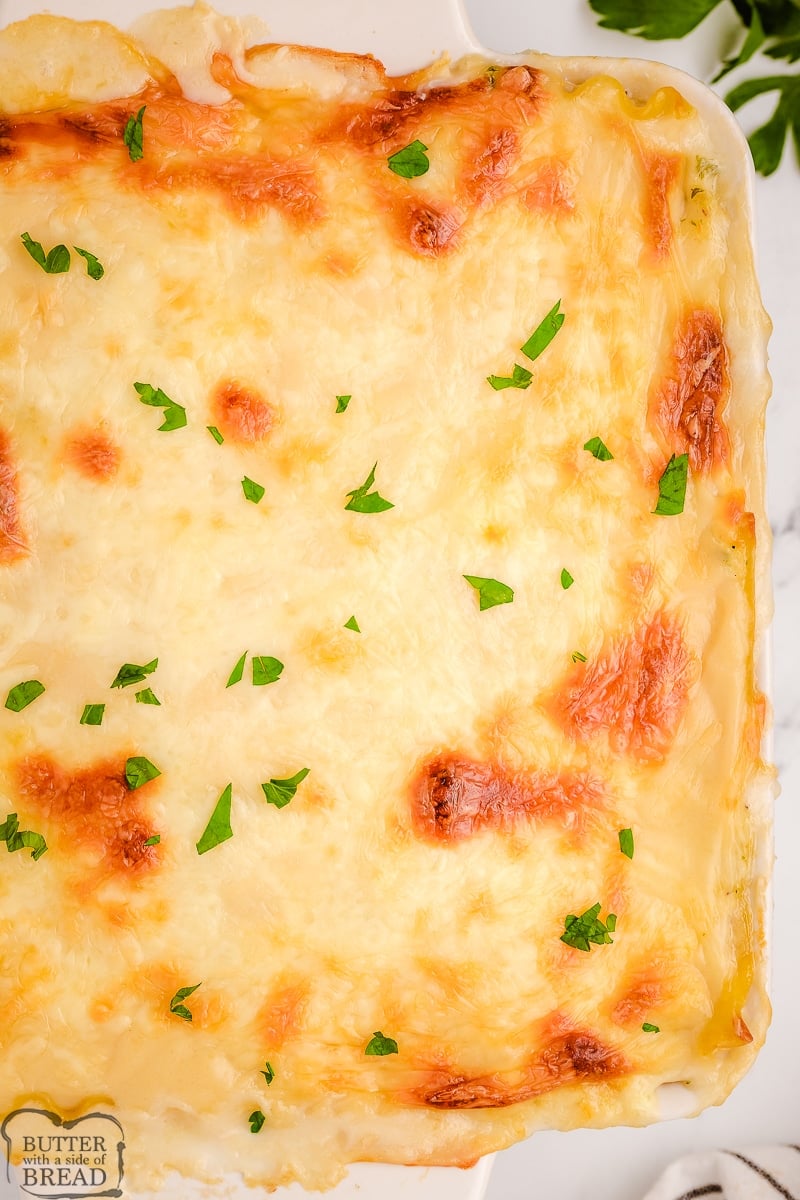 baking dish filled with cordon bleu lasagna