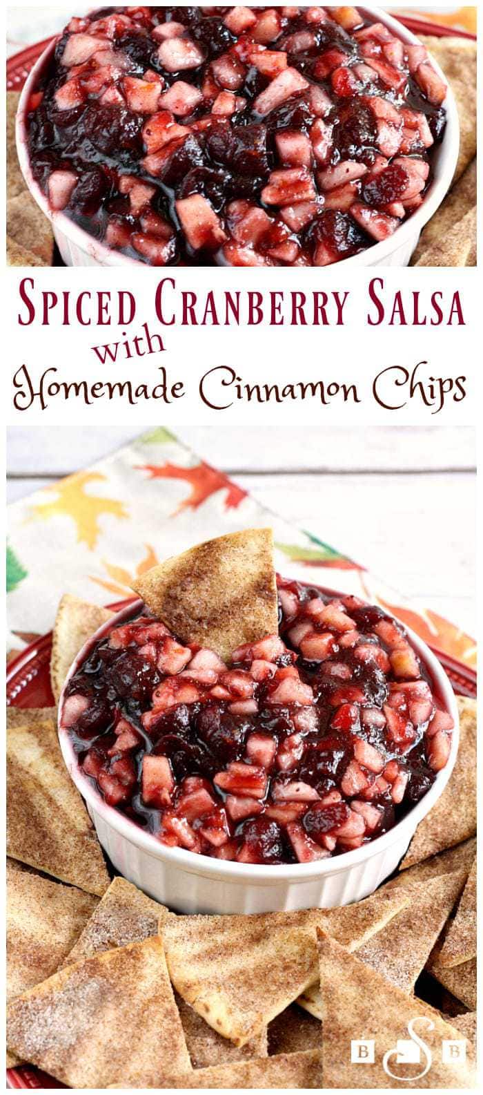 Spiced Cranberry Salsa with Homemade Cinnamon Chips - Butter With a Side of Bread
