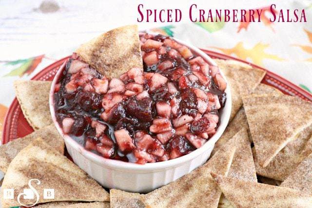 Spiced Cranberry Salsa with Homemade Cinnamon Chips - Butter With a Side of Bread
