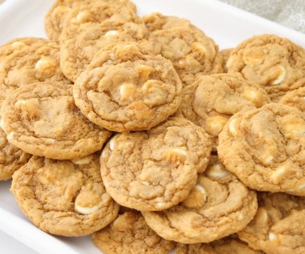 Pumpkin Pudding Cookies are soft, sweet & pumpkin spiced with pudding mix for the best flavor & texture. Easiest pumpkin cookies ever!