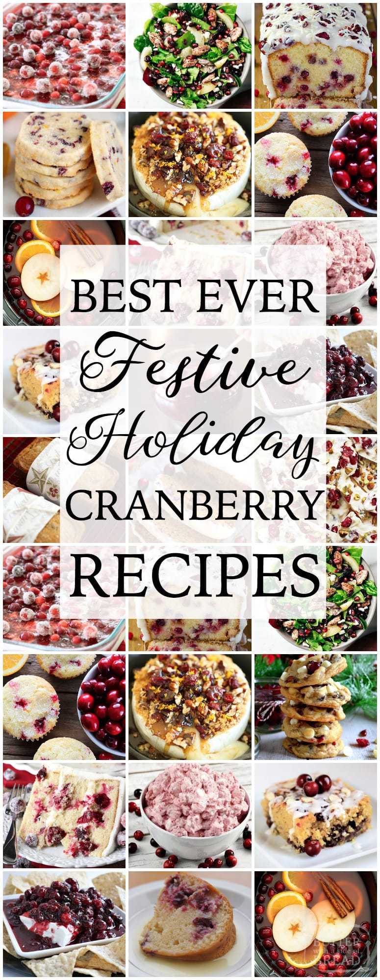 Cranberry recipes both sweet & savory, perfectly festive and delicious for the holidays. Easy to make cranberry recipes bursting with flavor. Perfectly #festive #holiday #cranberry #recipes for #Thanksgiving and #Christmas from Butter With A Side of Bread