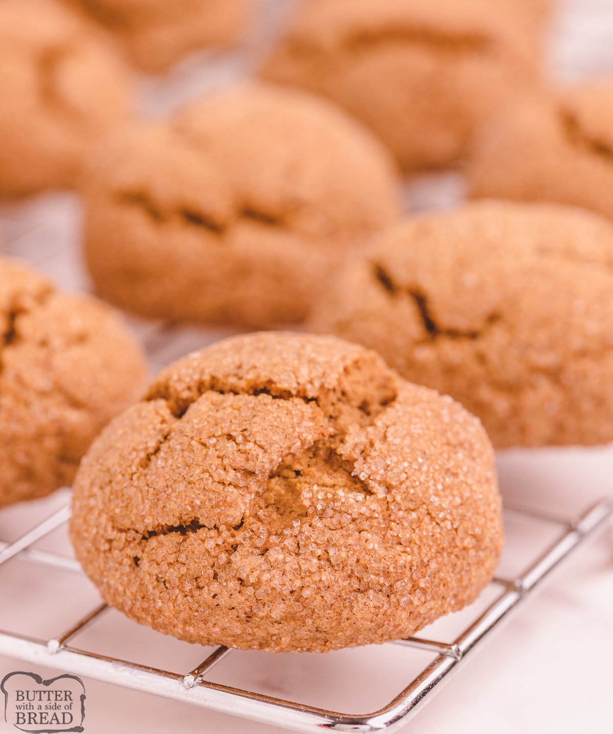 soft gingersnap cookie on a cooling rack