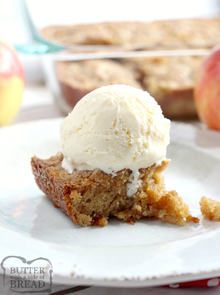 Easy Cinnamon Apple Cake is made with graham cracker crumbs, apples and just three other basic ingredients! This apple cake recipe is so moist and delicious that no one will believe how easy it is to make!