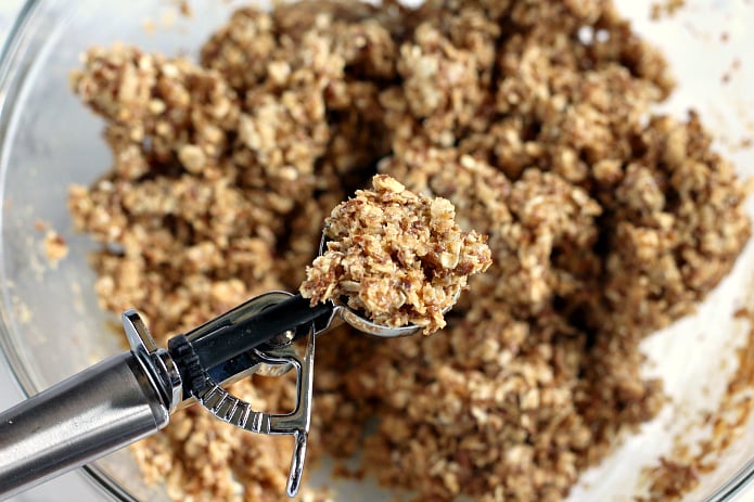 Protein ball mixture made with oats, peanut butter and honey