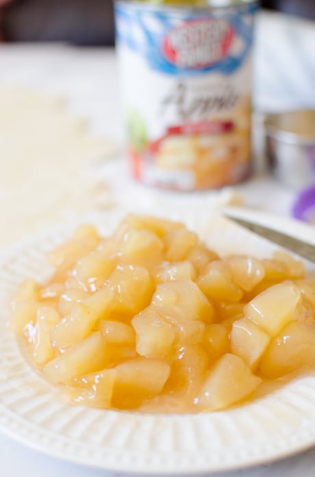canned apple pie filling cut into small chunks.