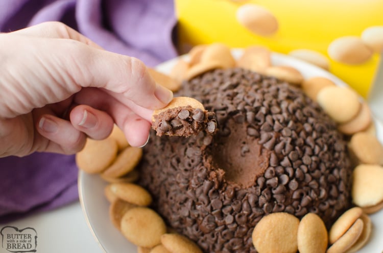 Double Chocolate Chip Cheese Ball is just that.. rich twice the chocolate turned into a sweet cheese ball! The rich chocolate batter combined with the tangy cream cheese then rolled in mini chocolate chips makes this a rich and delicious appetizer or dessert!