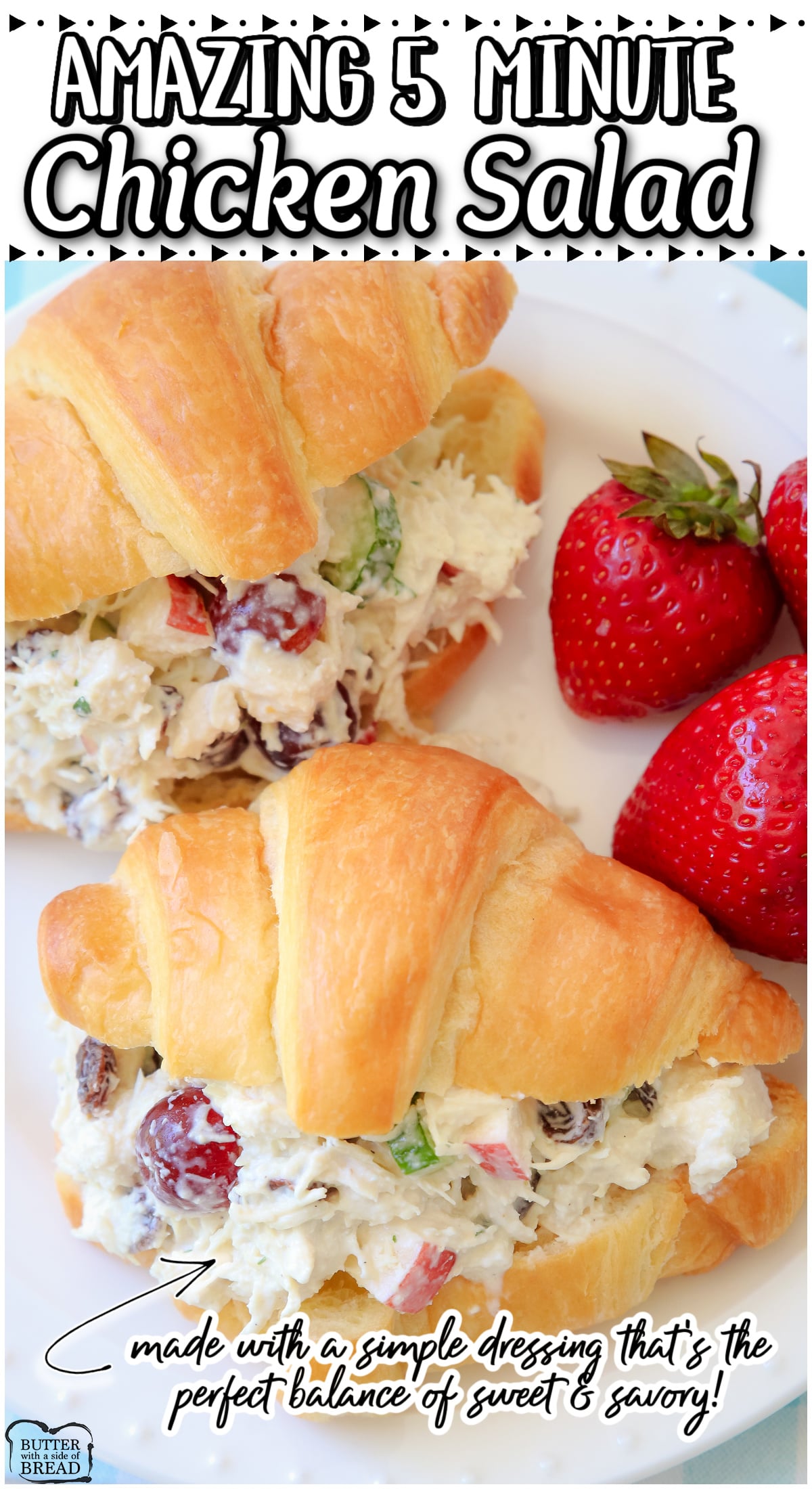 Popular 5-Minute Chicken Salad recipe made with pre-cooked chicken, diced apples, celery & grapes all in a simple dressing with yogurt & mayo, salt, pepper & onion powder. 