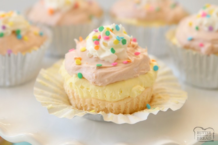 Mini No-Bake Cheesecakes perfect for Spring! Easy pastel desserts with sweet, creamy vanilla cheesecake filling that's put together in minutes.