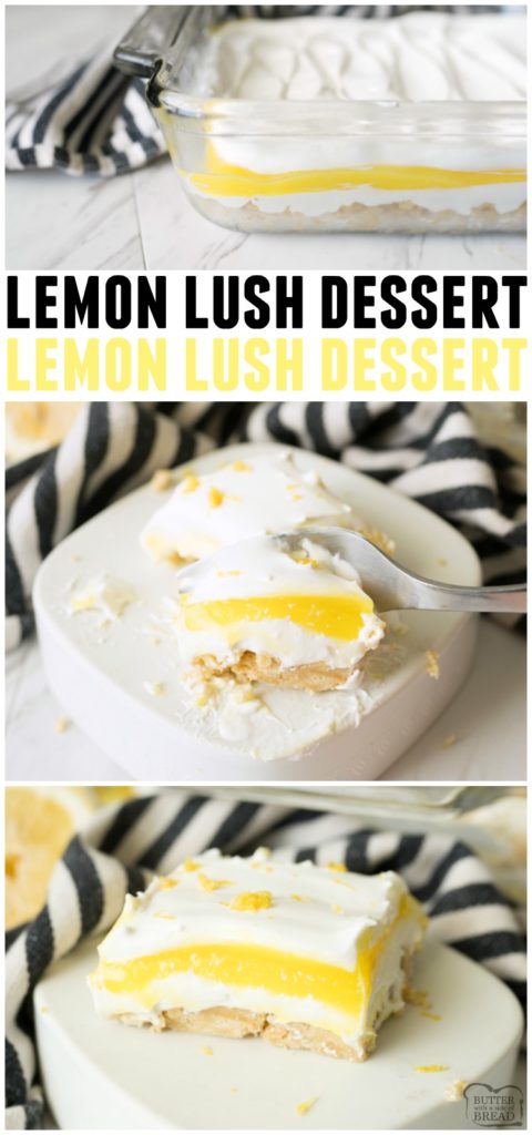 LEMON LUSH DESSERT RECIPE - Butter with a Side of Bread