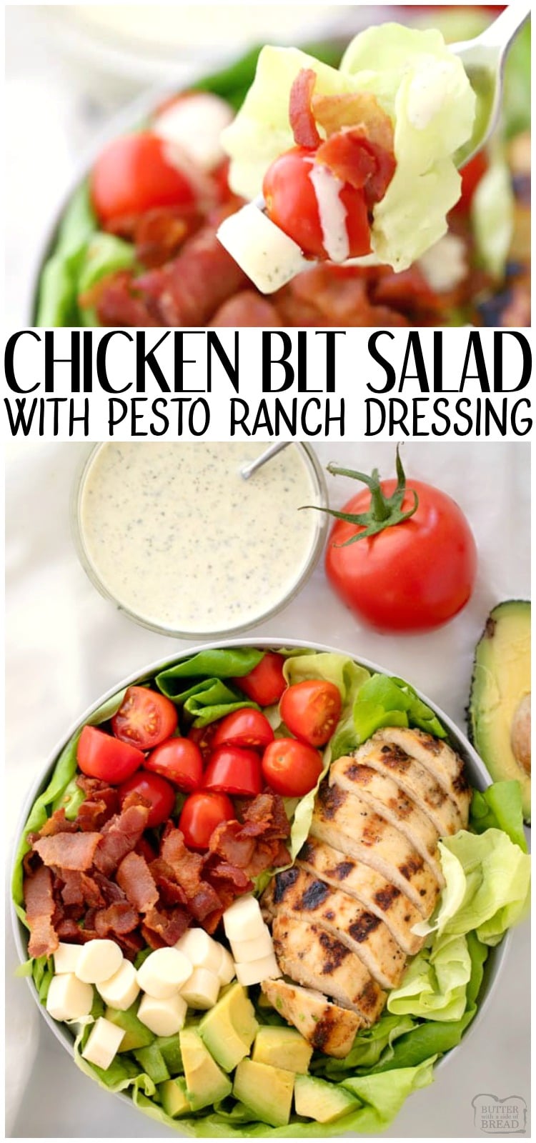 Grilled Chicken BLT Salad is an easy summer salad recipe filled with grilled marinated chicken, bacon, tomatoes, cheese and butter lettuce. Topped with a creamy pesto ranch dressing that's easy and flavorful, this salad is a huge hit!  #BLT #chicken #salad #ranch #recipe from Butter With a Side of Bread