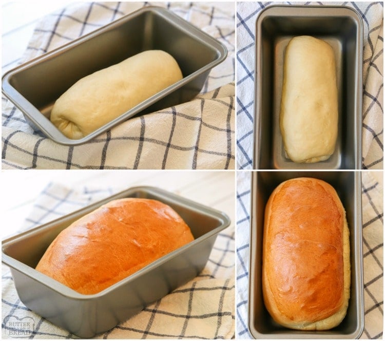 Comparison of Bread Loaf Pans 2022