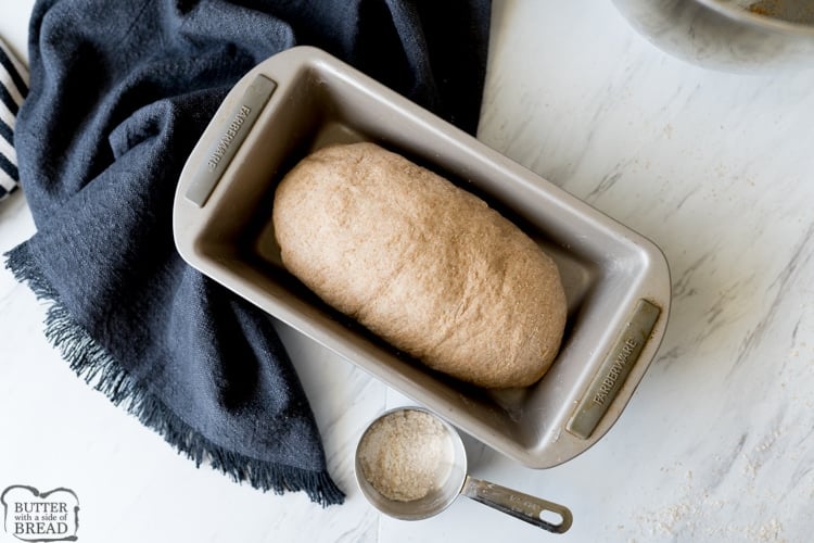wheat bread dough in the bread pan