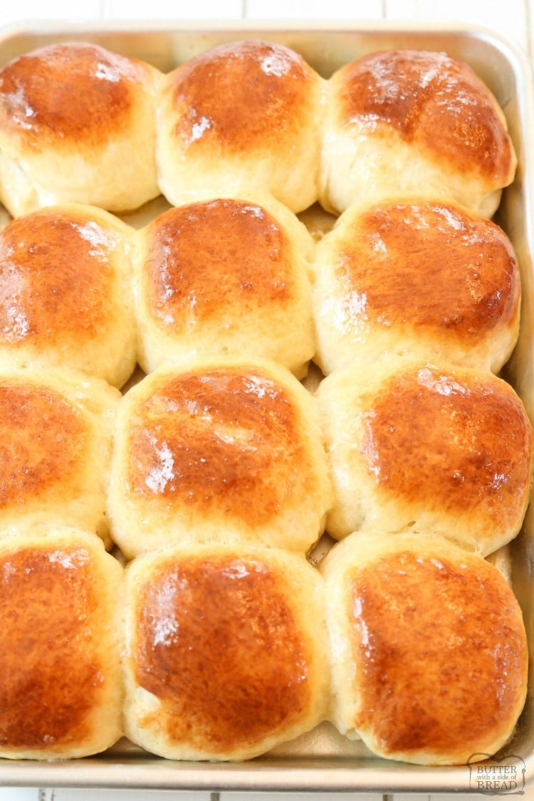 baked dinner rolls on a pan