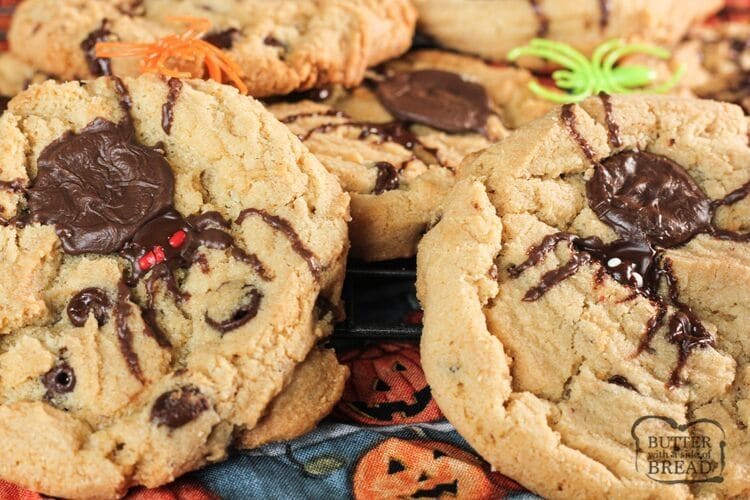 chocolate chip spider cookies