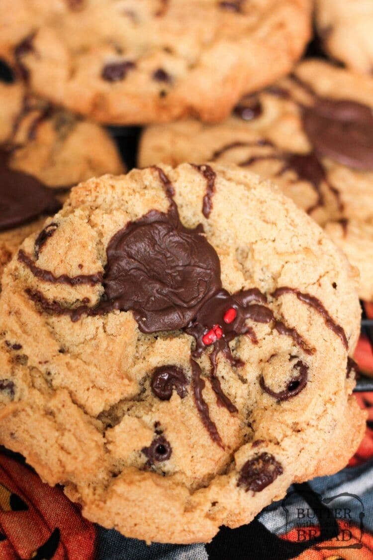 spider chocolate chip cookies