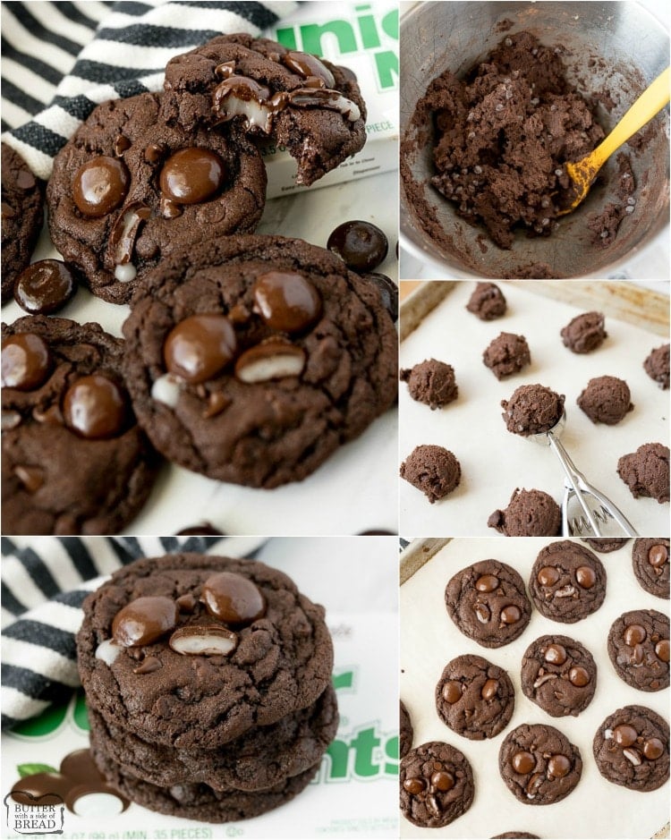 Double Chocolate Mint Cookies are a rich, chewy chocolate cookie topped with Junior Mints! Perfect fudge cookie recipe for mint chocolate lovers. 