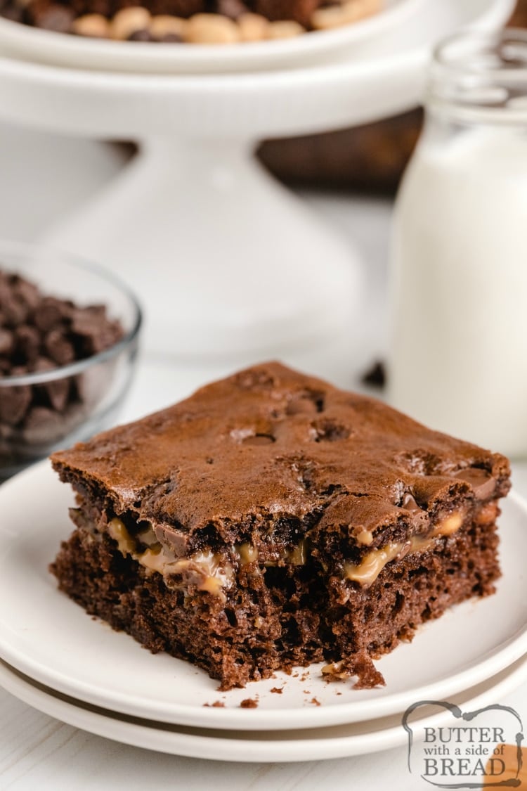 Snickers Cake made with a chocolate cake mix combined with caramel, peanuts and chocolate chips for a delicious cake recipe that tastes like a Snickers bar!