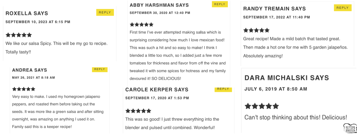 blender salsa 5 star review comments